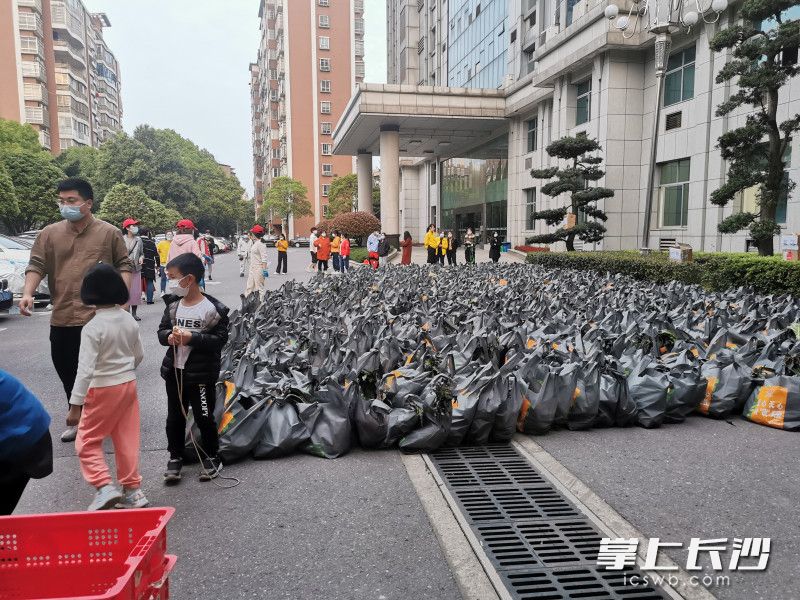 780份蔬菜包送到了湘林小區院內。長(cháng)沙晚報實(shí)習生 羅楊 攝